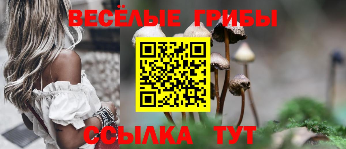 Владикавказ  Галлюциногенные грибы ЛСД  Вход с VPN 